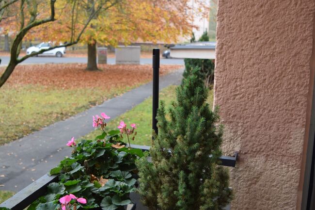 Blick von der Loggia nach Norden