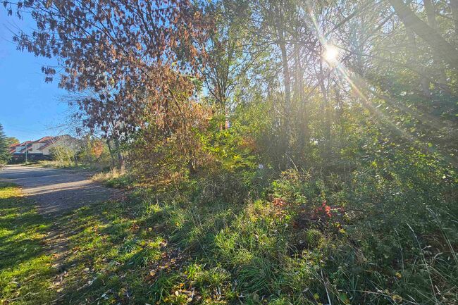 Blick vom Leutingerring